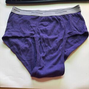 Men's Fruit of the Loom Purple Briefs - Large